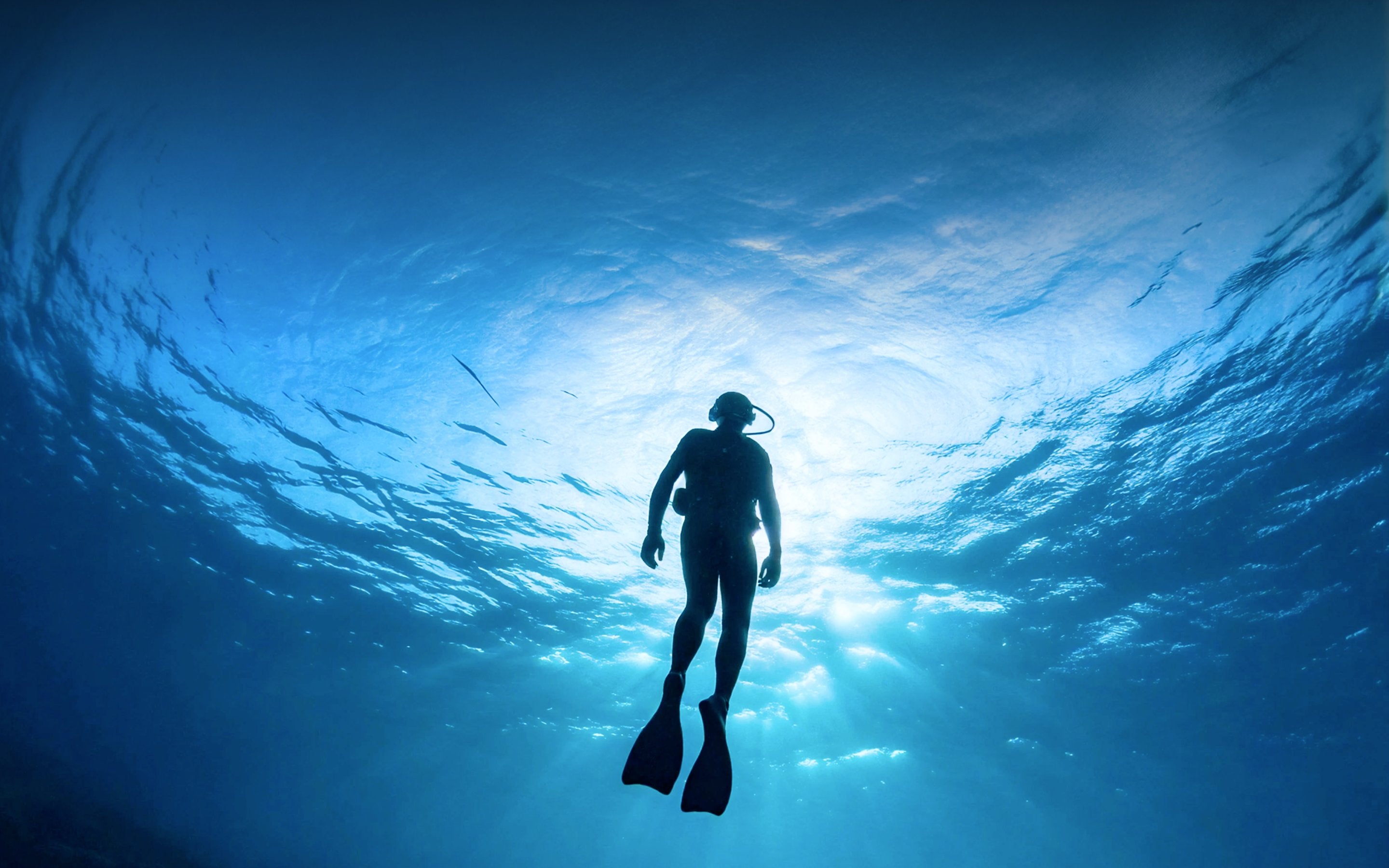 Diving