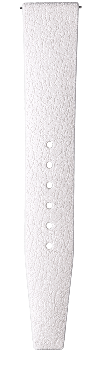 strap-bottom_white/19mm