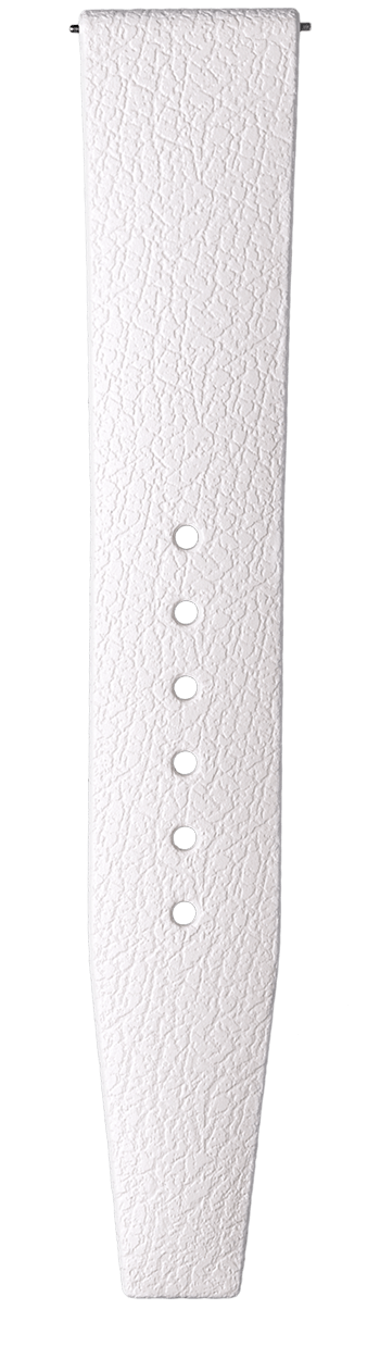 strap-bottom_white/20mm